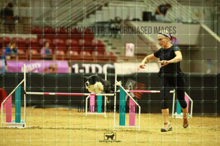 Deseo_Friedl_Ring_3_Wednesday_Speedstakes_Semi_Final_134_VW_1517