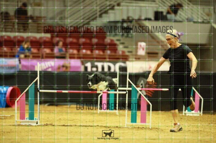 Deseo_Friedl_Ring_3_Wednesday_Speedstakes_Semi_Final_134_VW_1518