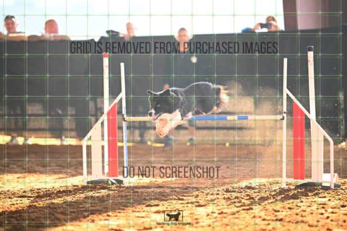 Deseo_Friedl_Saturday_WTAJumping_128_KG_6690