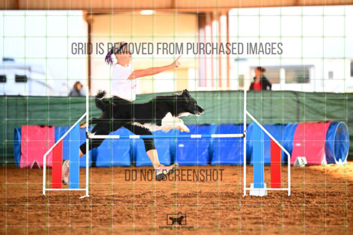 Deseo_Friedl_Saturday_WTAJumping_128_KG_6718