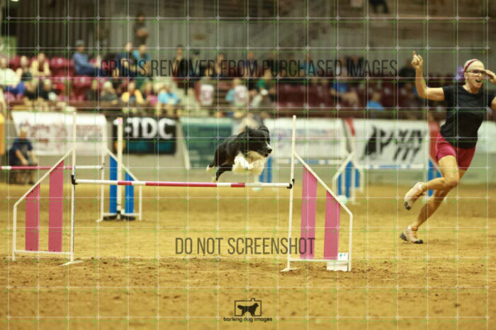 Deseo_Friedl_Speedstakes_Finals_245_2991