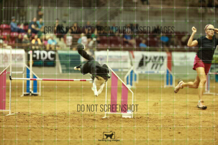 Deseo_Friedl_Speedstakes_Finals_245_2993