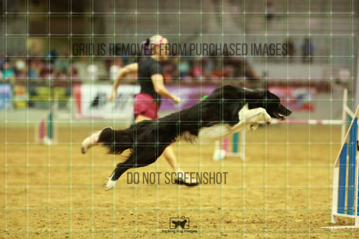 Deseo_Friedl_Speedstakes_Finals_245_2998