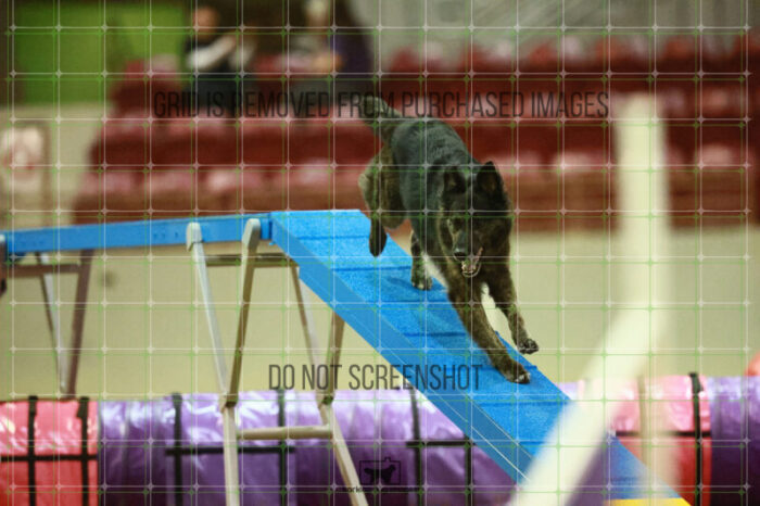 Dexter_Kaminski_Round_1_Agility_181_KO_7899