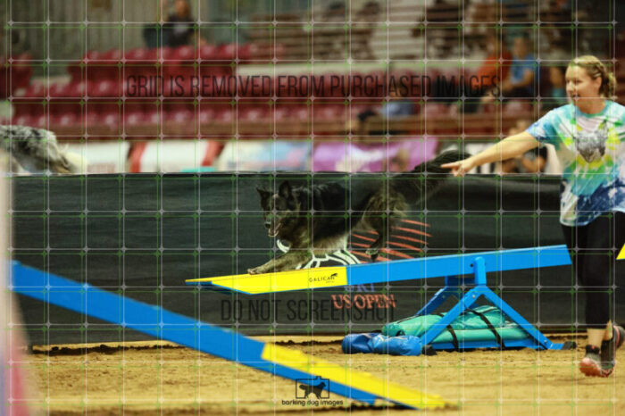 Dexter_Kaminski_Saturday_OpenAgility_164_KO_3871