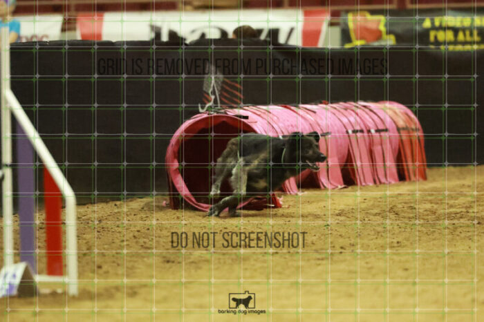 Dexter_Kaminski_Wednesday_Speedstakes_Semi_Final_284_RR_7057