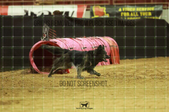 Dexter_Kaminski_Wednesday_Speedstakes_Semi_Final_284_RR_7059