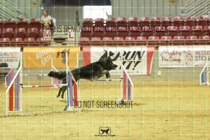 Dexter_Kaminski_Wednesday_Speedstakes_Semi_Final_284_RR_7067