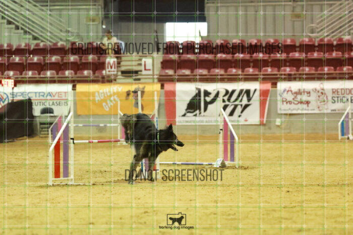 Dexter_Kaminski_Wednesday_Speedstakes_Semi_Final_284_RR_7076