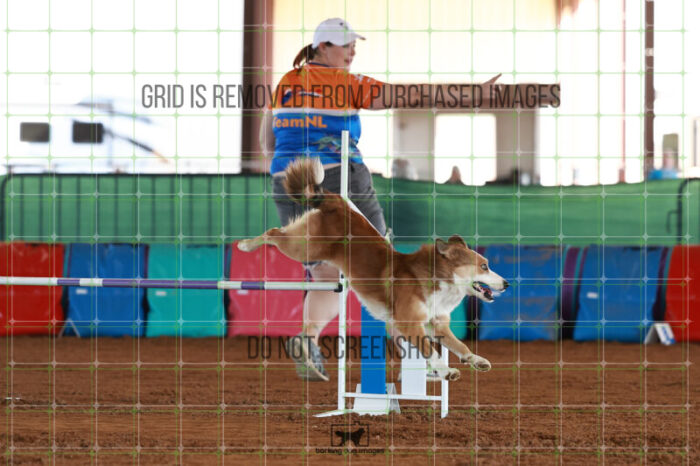 Dominion_Treinen_Ring_5_Saturday_WTAJumping_257_JC_4779