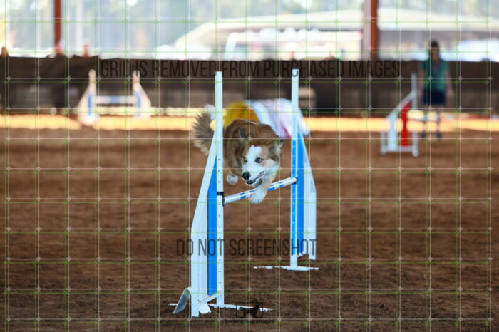 Dominion_Treinen_Ring_6_Wednesday_Speedstakes_SemiFinal_167_JC_1754
