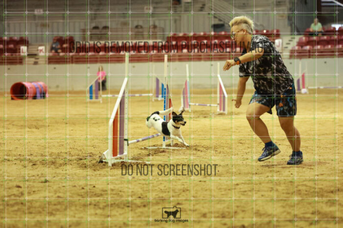 Dori_Feo_Wednesday_Speedstakes_Semi_Final_260_RR_6156
