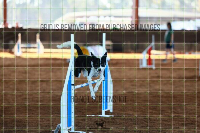 Dot_Schumacher_Ring_6_Wednesday_Speedstakes_SemiFinal_165_JC_1714