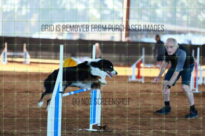 Dougie_Proe_Ring_6_Wednesday_Speedstakes_SemiFinal_137_JC_1051