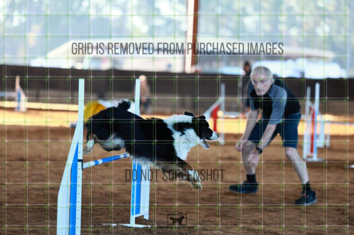 Dougie_Proe_Ring_6_Wednesday_Speedstakes_SemiFinal_137_JC_1053