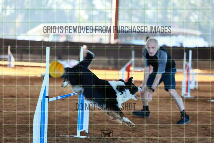 Dougie_Proe_Ring_6_Wednesday_Speedstakes_SemiFinal_137_JC_1054