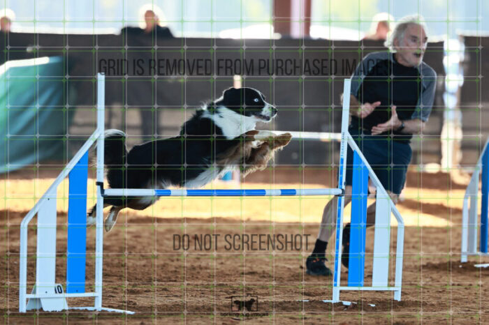 Dougie_Proe_Ring_6_Wednesday_Speedstakes_SemiFinal_137_JC_1060