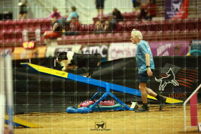 Dougie_Proe_Saturday_OpenAgility_146_NH_1371