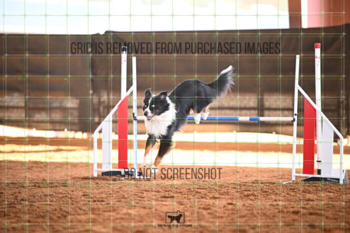 Dougie_Proe_Saturday_WTAJumping_255_KG_6628