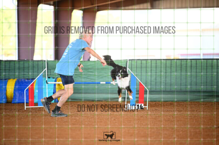 Dougie_Proe_Saturday_WTAJumping_255_KG_6647