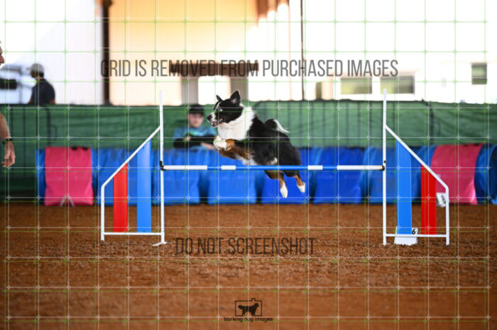 Dougie_Proe_Saturday_WTAJumping_255_KG_6652