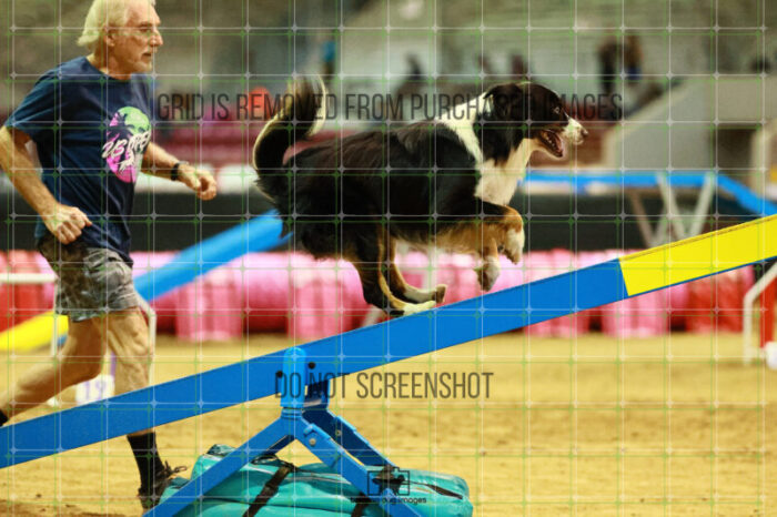 Dougie_Proe_Thursday_Masters_Agility_Heat_128_VW_1420