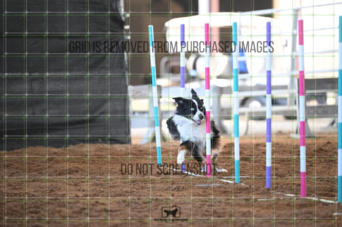 Dougie_Proe_Thursday_Masters_Jumping_Heat_110_AS_0411