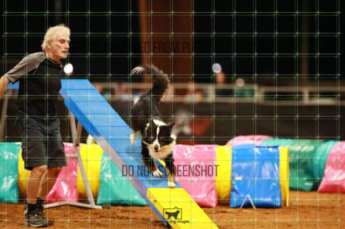 Dougie_Proe_Wednesday_Round_1_Agility_186_JC_7045