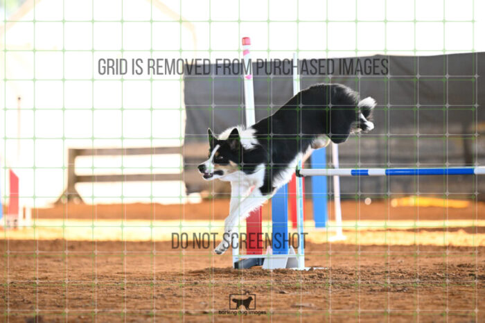 Trigger_Rosenberger_Wednesday_Speedstakes_SemiFinal_284_KG_4553
