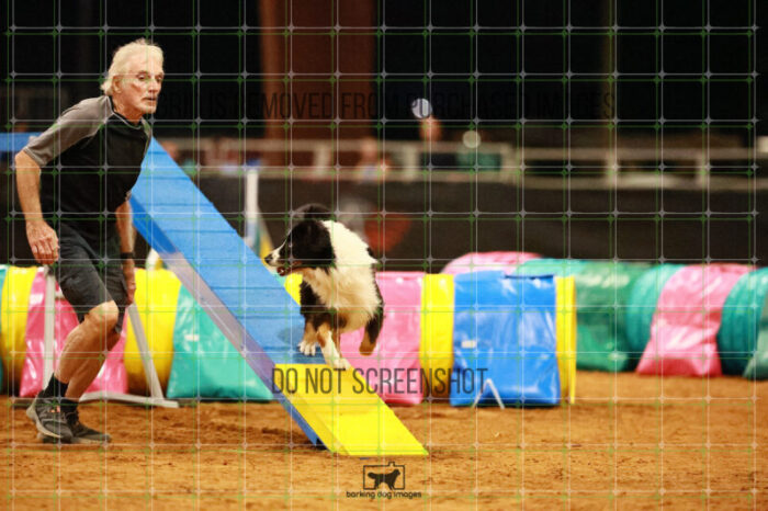 Dougie_Proe_Wednesday_Round_1_Agility_186_JC_7048