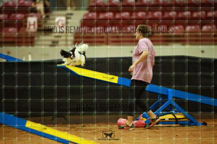 Driver_Rosenberger_Ring_2_Saturday_OpenAgility_162_SH_2556
