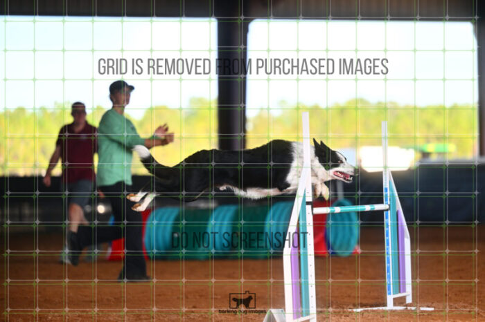 G_T_Lee_Friday_MastersJumpingFinal_166_LB_1885