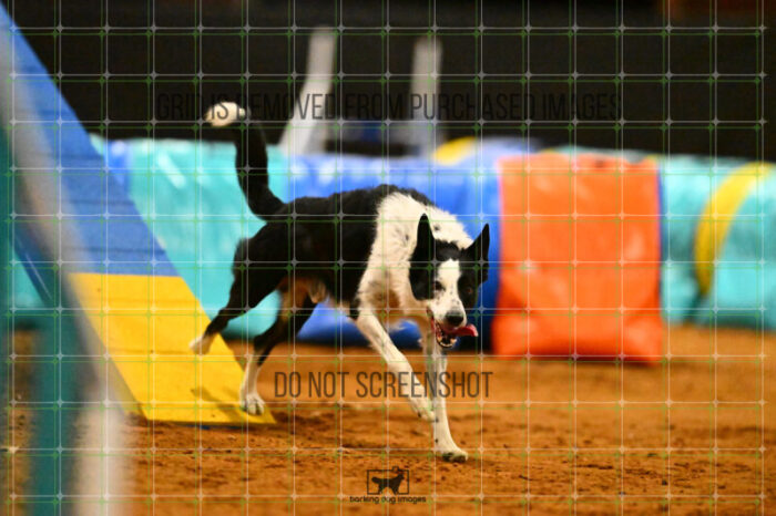 G_T_Lee_NationalsRound1_372_KG_5323