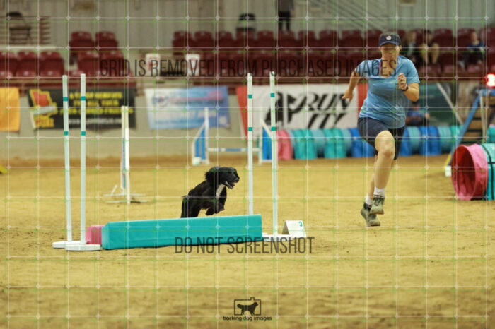 DynaMight_Laufenberg_Friday_MastersAgilityFinal_151_RR_5443