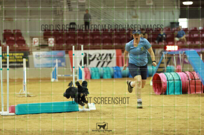 DynaMight_Laufenberg_Friday_MastersAgilityFinal_151_RR_5445