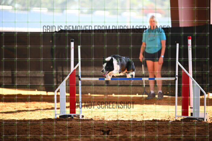 G_T_Lee_Saturday_WTAJumping_208_KG_2584