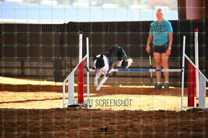 G_T_Lee_Saturday_WTAJumping_208_KG_2586