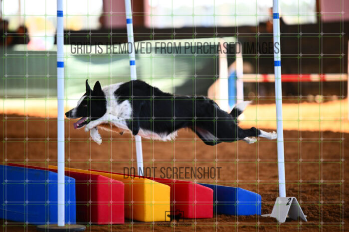 G_T_Lee_Saturday_WTAJumping_208_KG_2594
