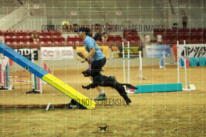 DynaMight_Laufenberg_Friday_MastersAgilityFinal_151_RR_5460