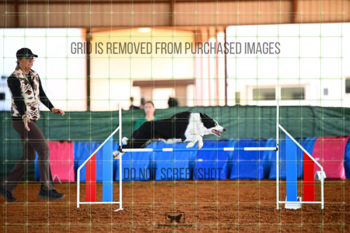 G_T_Lee_Saturday_WTAJumping_208_KG_2603
