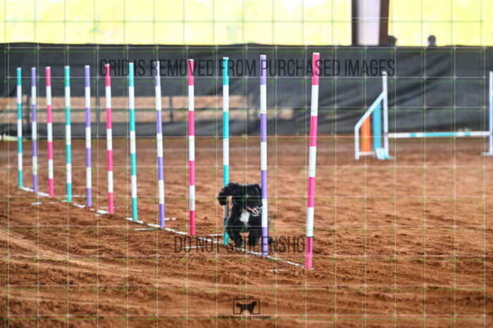 DynaMight_Laufenberg_Saturday_WTAJumping_144_LB_1281