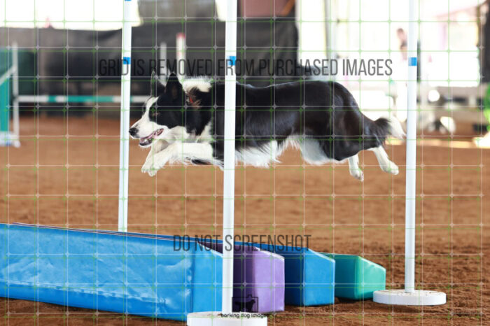 Tuxx_Caplan_Ring_5_Saturday_WTAJumping_340_JC_7199