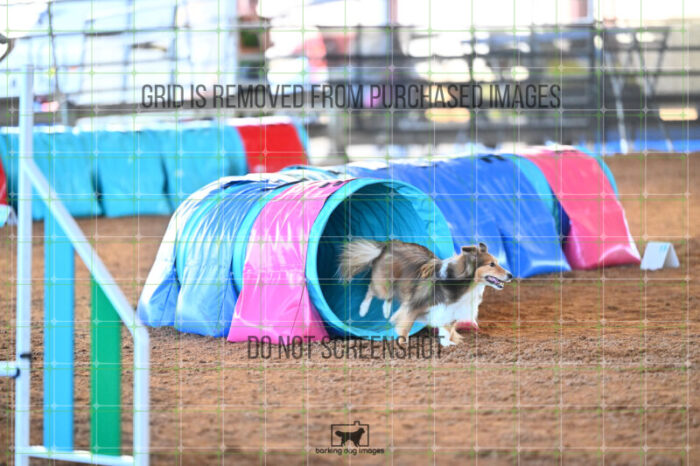 Gimli_Key_Biathlon_Jumping_Wednesday_256_LB_4003