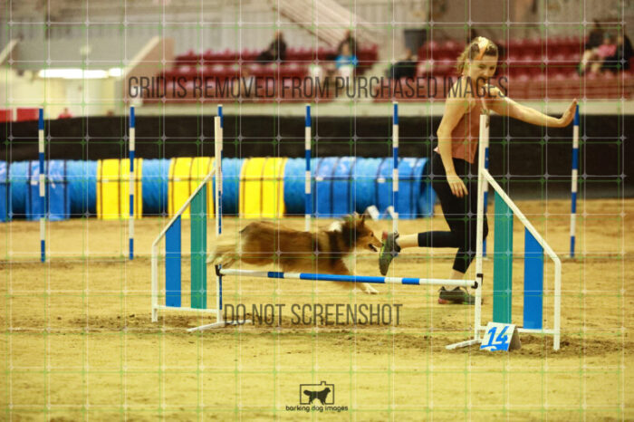 Gimli_Key_Friday_Round2Jumping_111_KO_8565