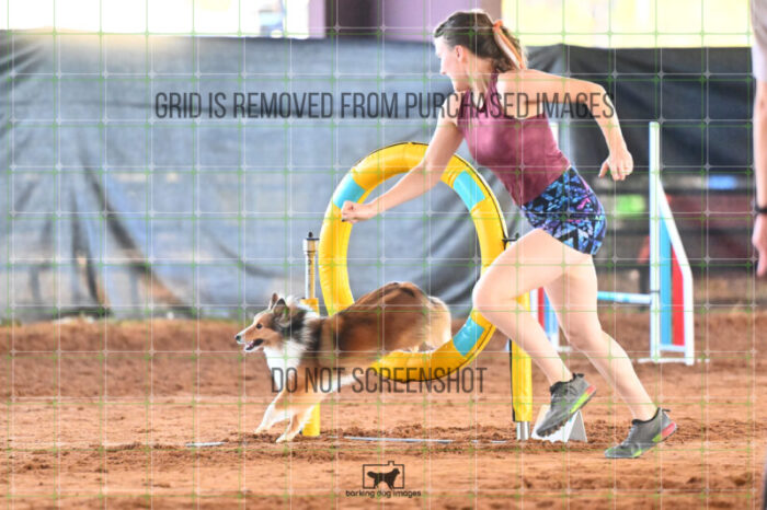 Gimli_Key_Saturday_WTAJumping_137_LB_1073