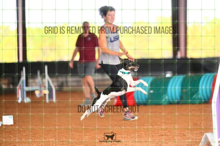 Gnarly_Robinson_Friday_MastersJumpingFinal_234_LB_3771