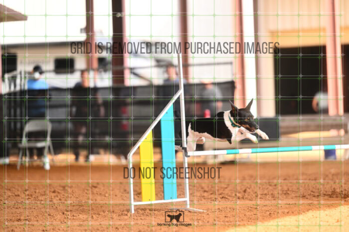 Gnarly_Robinson_Friday_MastersJumpingFinal_234_LB_3774
