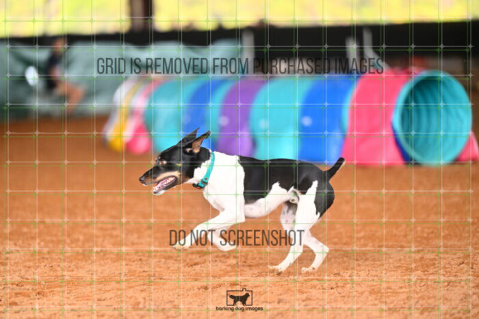 Gnarly_Robinson_Friday_MastersJumpingFinal_234_LB_3783