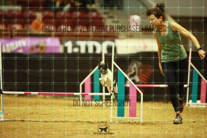 Gnarly_Robinson_Ring_3_Wednesday_Speedstakes_Semi_Final_275_VW_6118