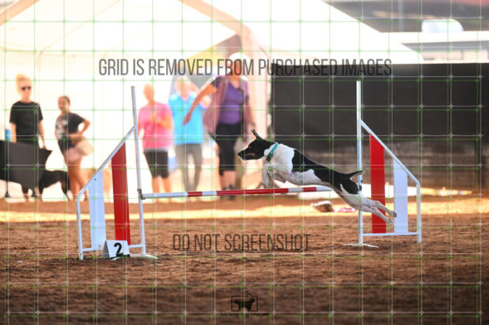 Gnarly_Robinson_Thursday_Masters_Jumping_Heat_244_LB_2797